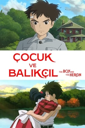 Çocuk ve Balıkçıl İzle