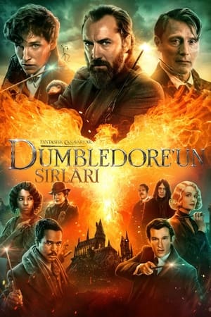 Fantastik Canavarlar: Dumbledore’un Sırları İzle