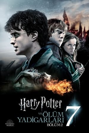 Harry Potter ve Ölüm Yadigârları: Bölüm 2 İzle