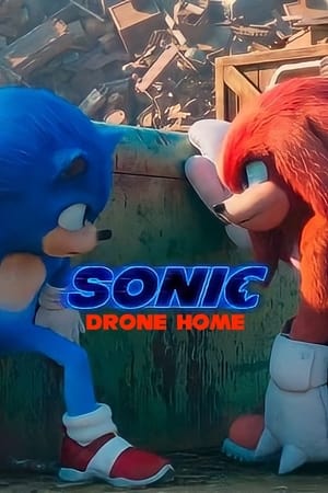 Sonic Drone Home İzle